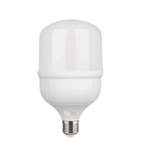 Lâmpada de Led bulbo alta potência 20W e-27 6500k Bronzearte